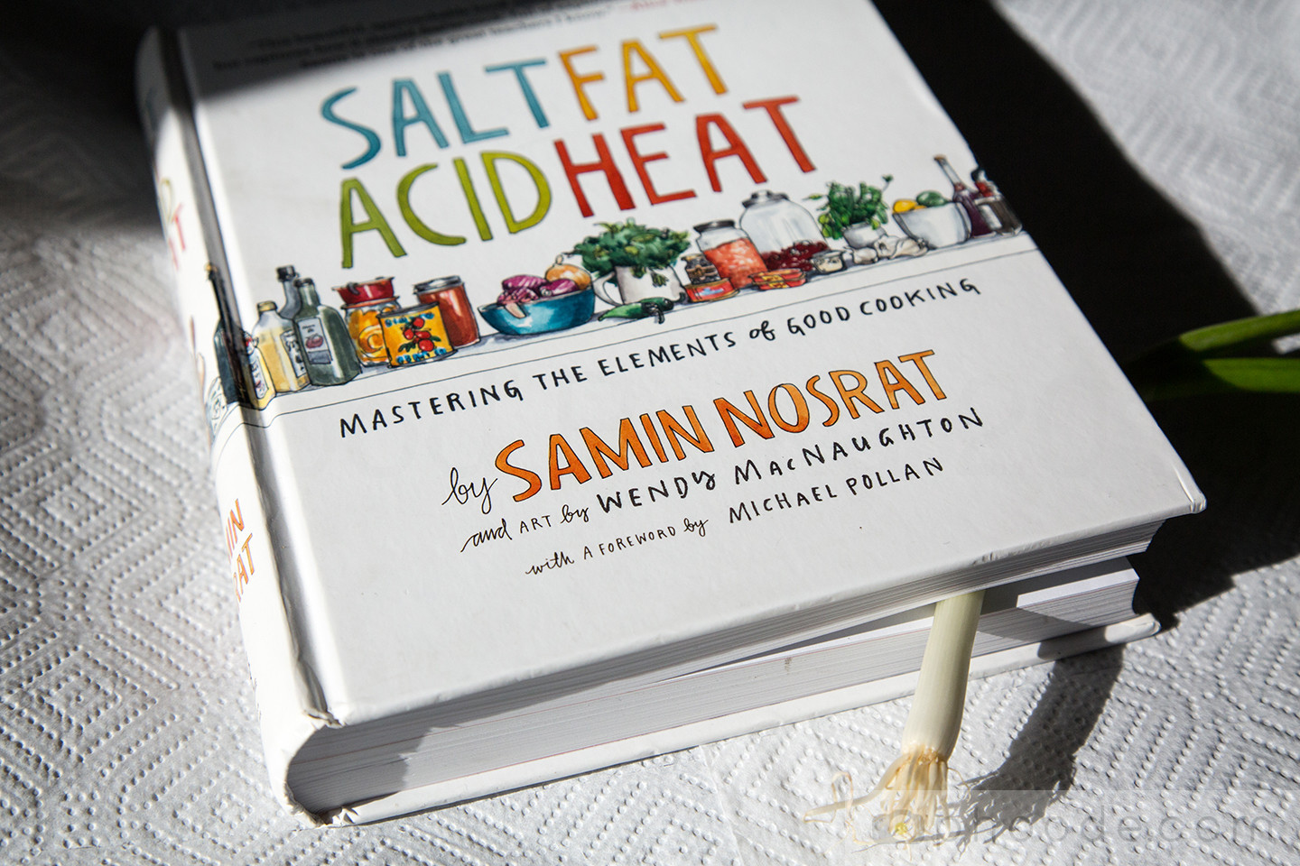 Salt Fat Acid Heat Conjuring Home through Cookbook Watercolor Illustrations