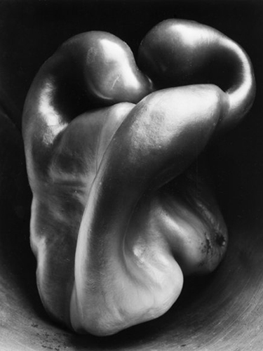 Pepper Edward Weston Food Photo