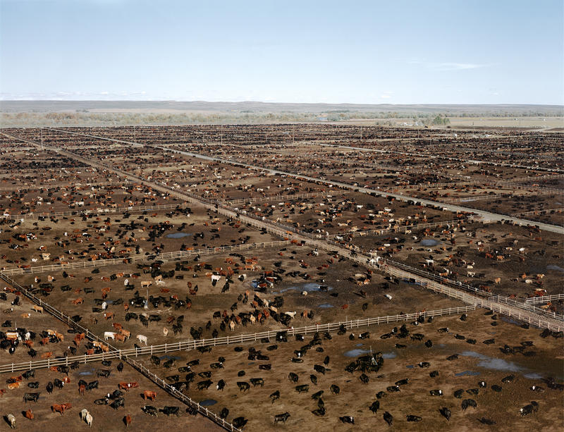 Gursky Food Photography for Sustainability Greeley 2002