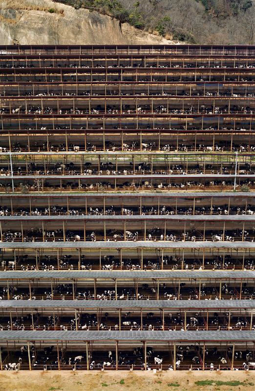 Gursky Fukuyama, 2004 Food Photography for Sustainability