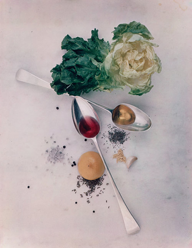 Salad Ingredient Food Photo Irving Penn