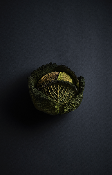 Cabbage Rembrandt Lighting Food Photography