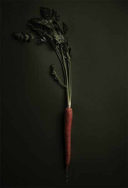 Carrot Rembrandt Lighting Food Photography