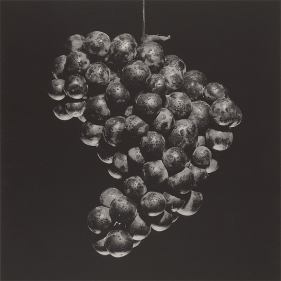 Grapes 1985 Food Photography of Robert Mapplethorpe