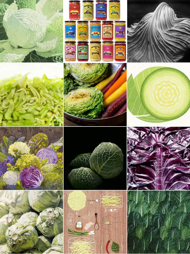 creative food subject segment cabbage, Artistic Food Subject, creative food photography, phoodecreatives instagram, phoode, food phtography critique, different styles of food photography, food photography curator, creative food styling, commercial food photogrphy, fine arts food photography, food illustration, food artists