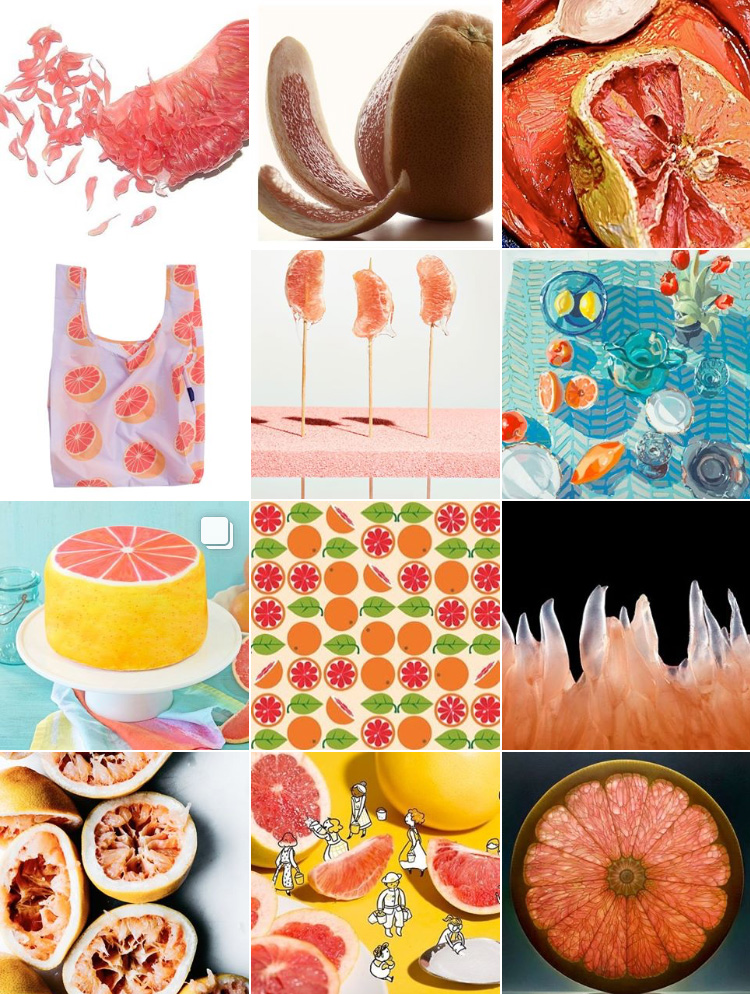 creative food subject segment grapefruit, Artistic Food Subject, creative food photography, phoodecreatives instagram, phoode, food phtography critique, different styles of food photography, food photography curator, creative food styling, commercial food photogrphy, fine arts food photography, food illustration, food artists