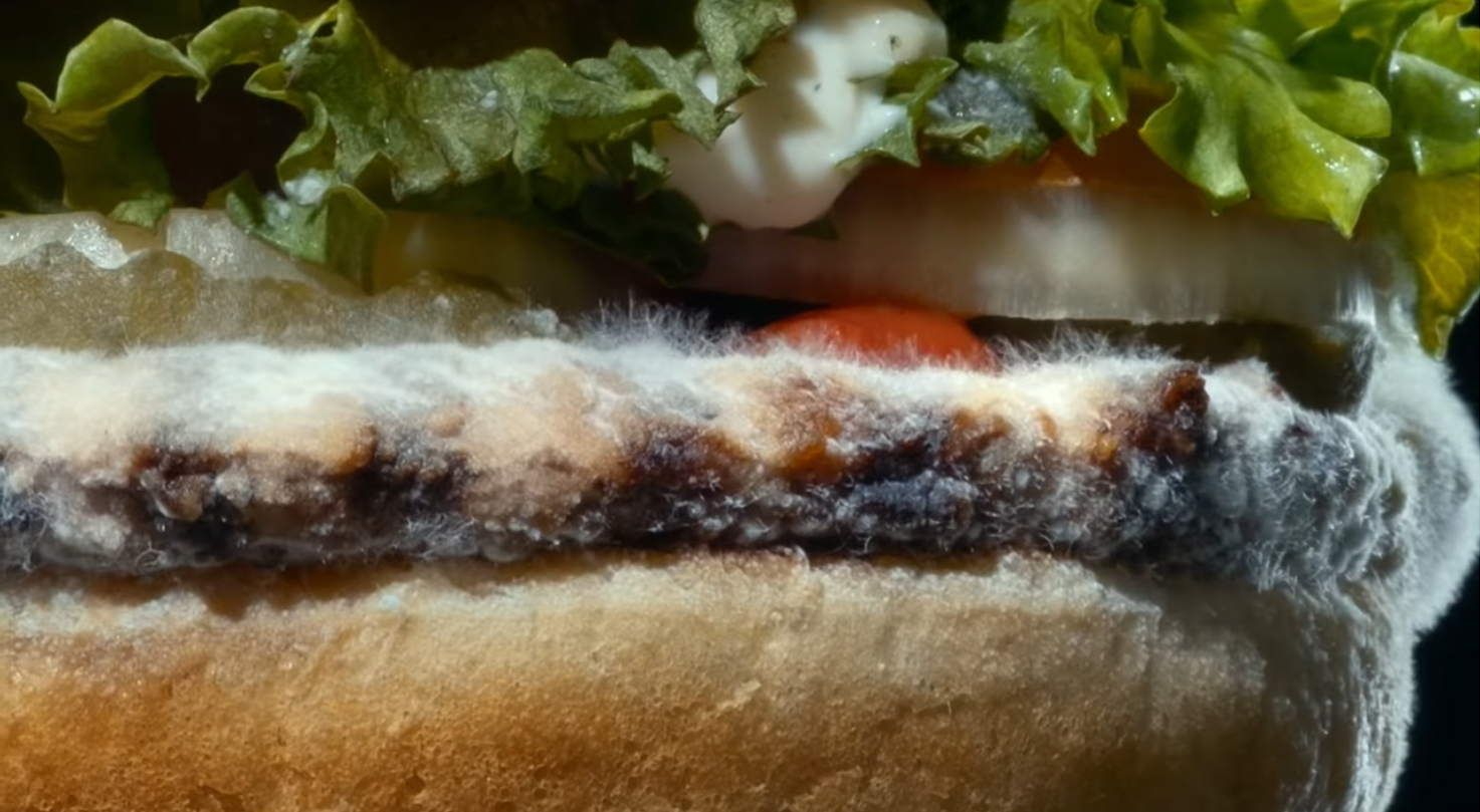 Brands react to Burger King's mouldy whopper ad…