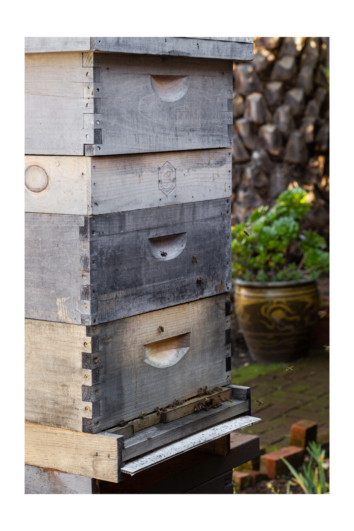 beehive, honey making, honey bees, phoode, editorial food photography