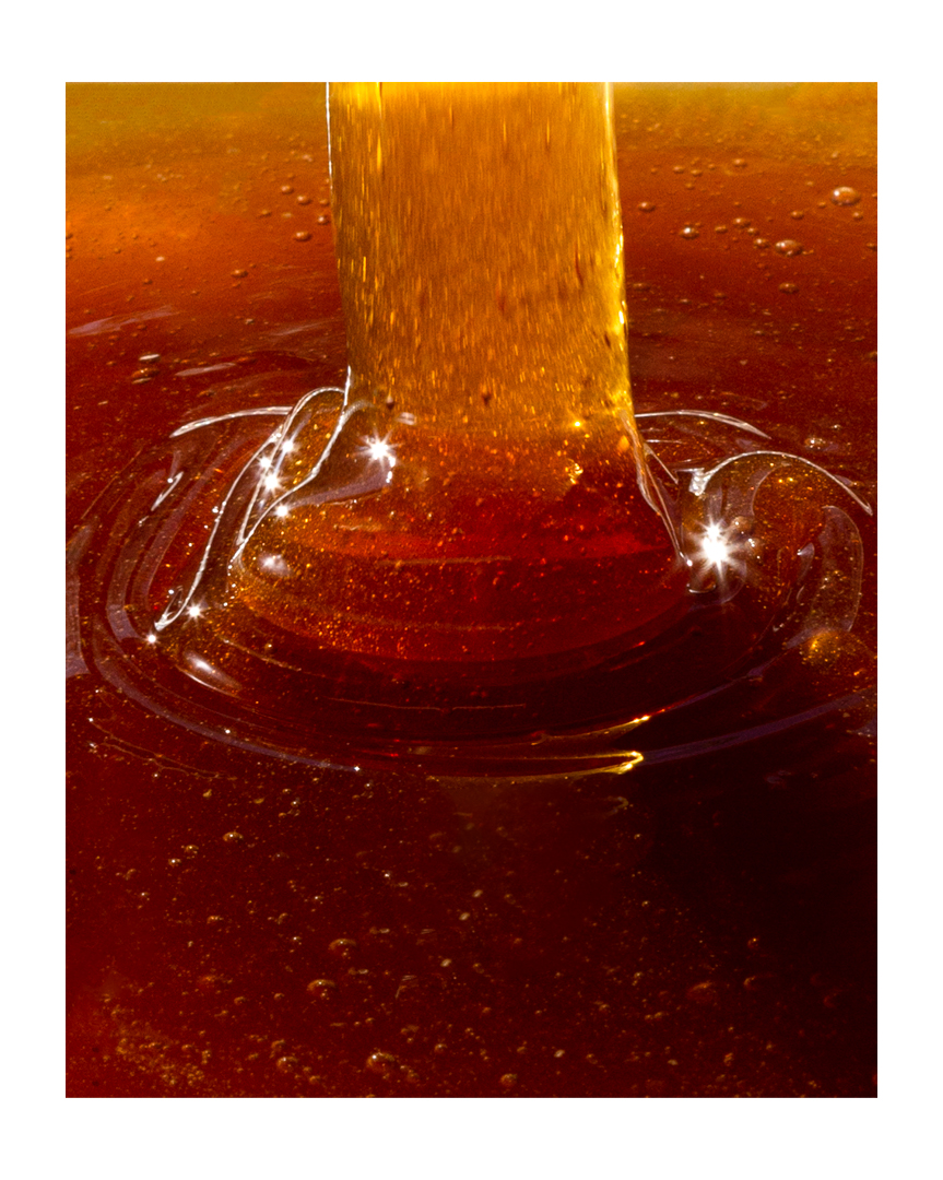 raw honey, unpasteurized honey, making honey, fresh honey, phoode, editorial food photography