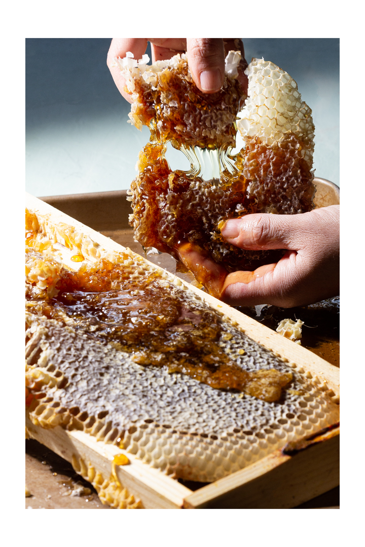 making honey, honeycomb, beehive, phoode, editorial food photography